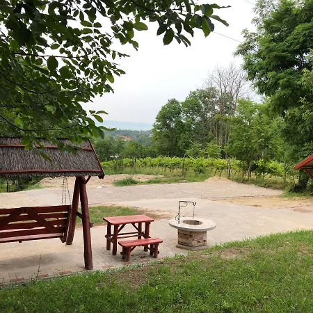 Апартаменты Balaton View