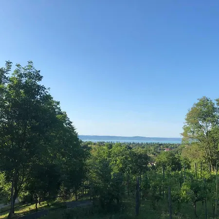 Balaton View